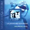 Benoit Pasquini - Musique & nature : Le chant des dauphins (Dolphins Song)